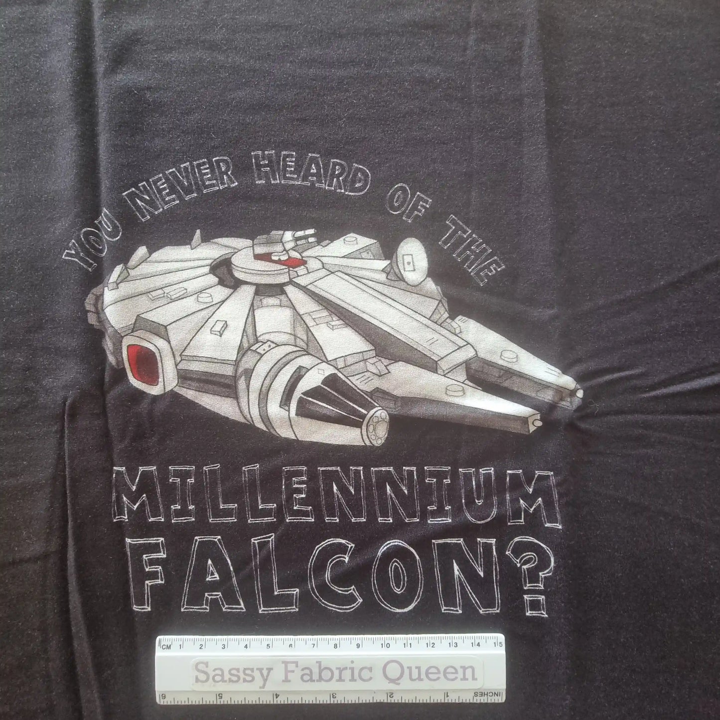 Never Heard of MF 50cmx50cm panel - French Terry, Bamboo