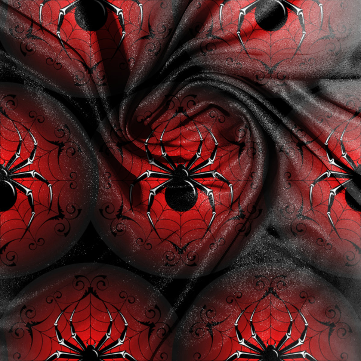 Spiders