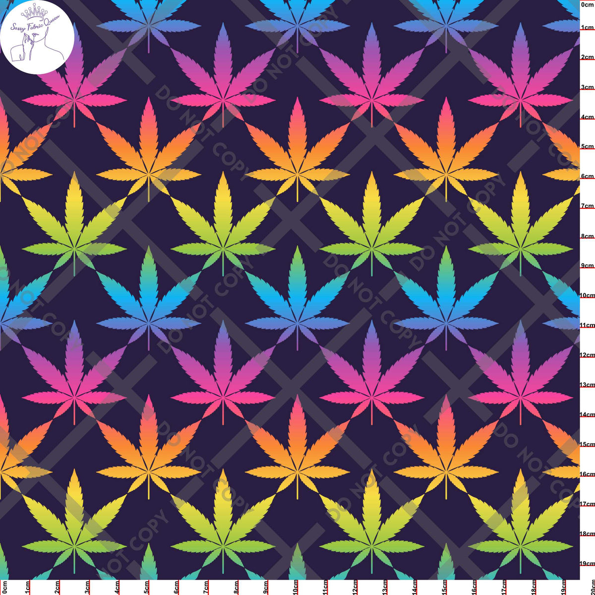 Canna Rainbow Large DRK