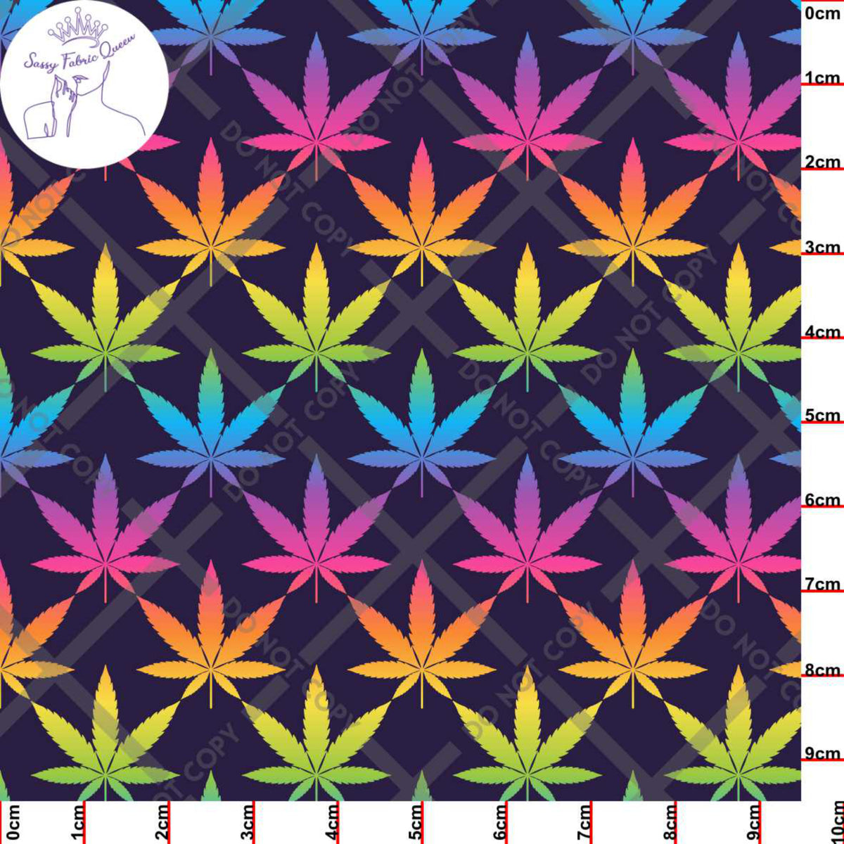 Canna Rainbow Large DRK