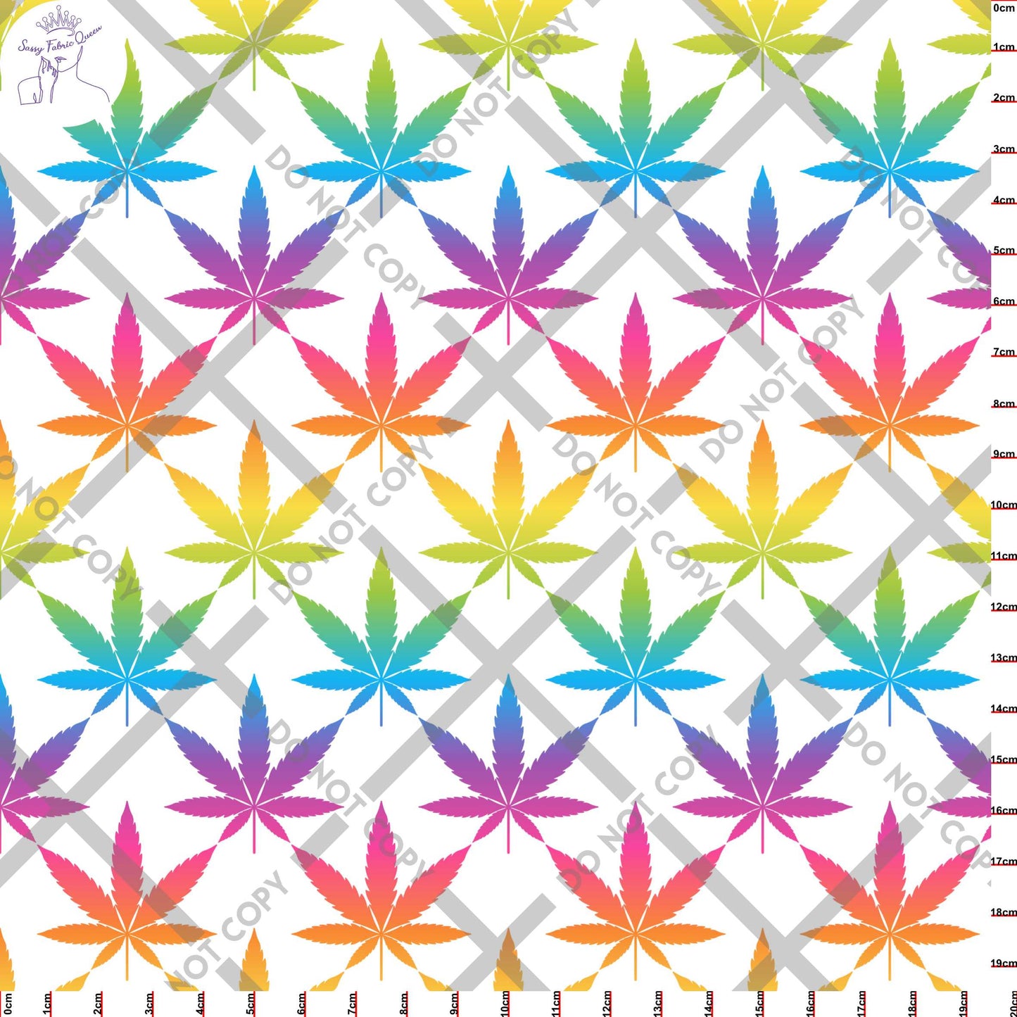 Canna Rainbow Large LGT