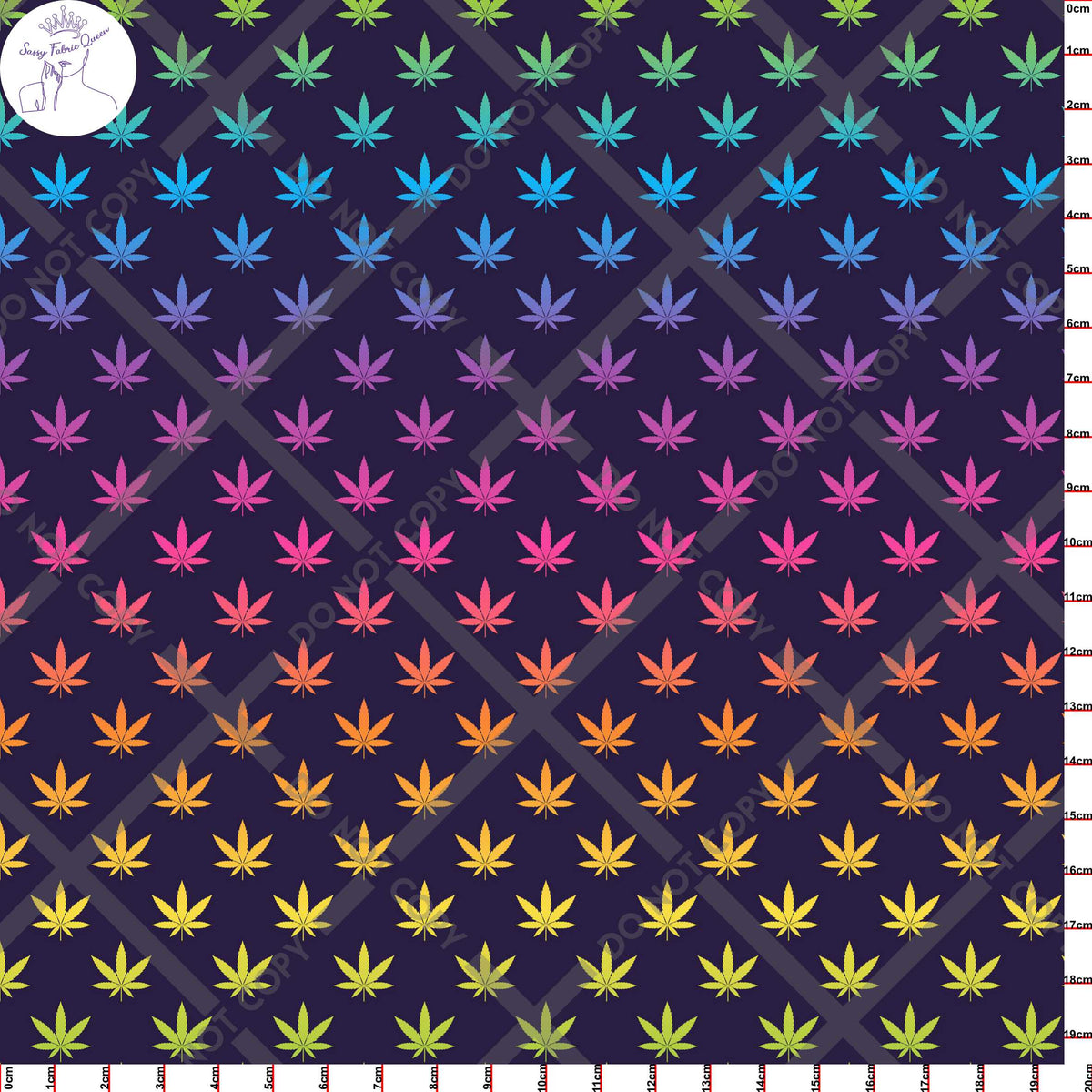 Canna Rainbow Small DRK