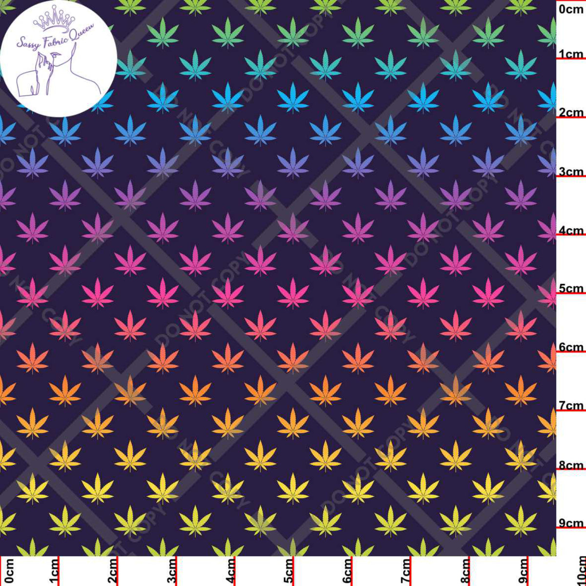 Canna Rainbow Small DRK