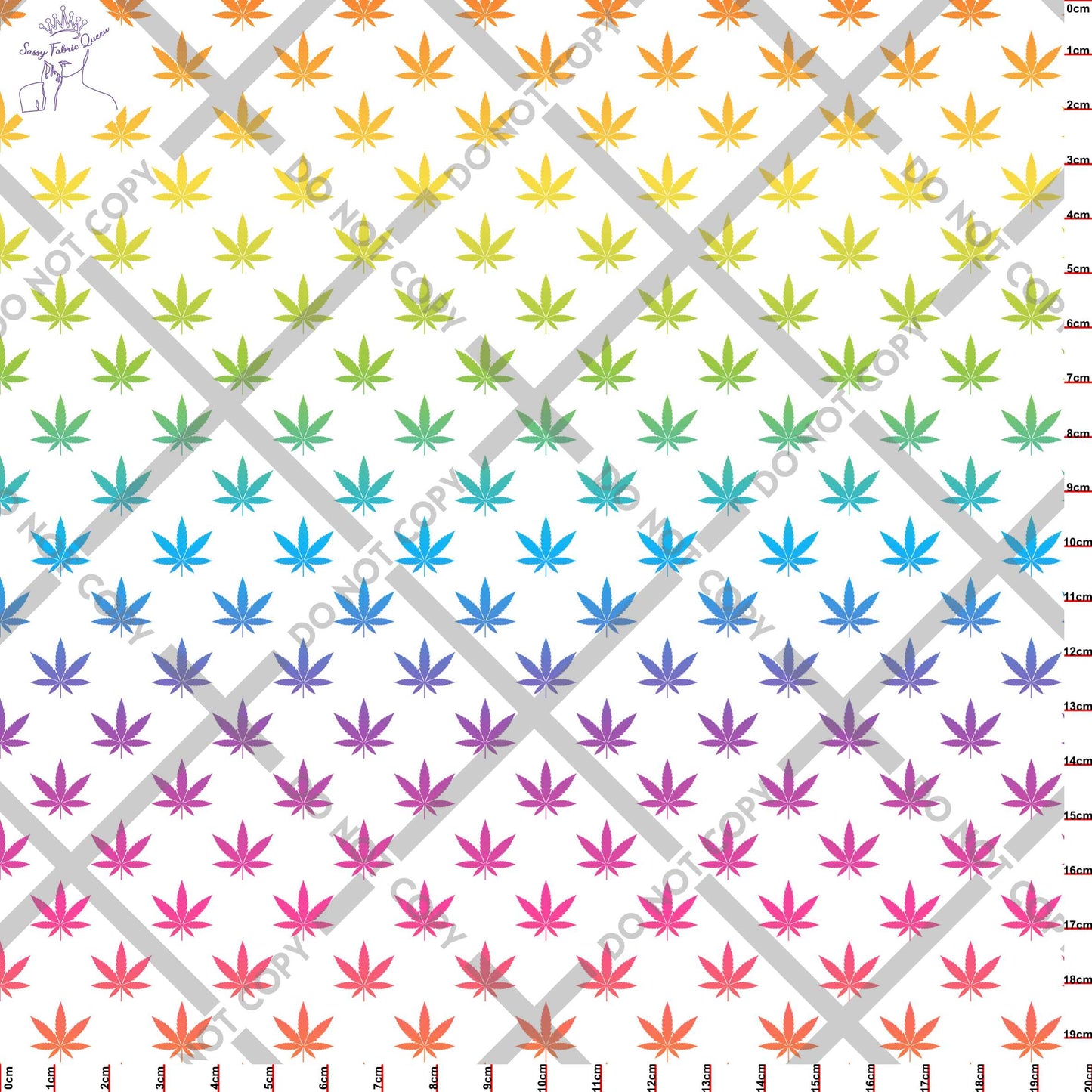 Canna Rainbow Small LGT