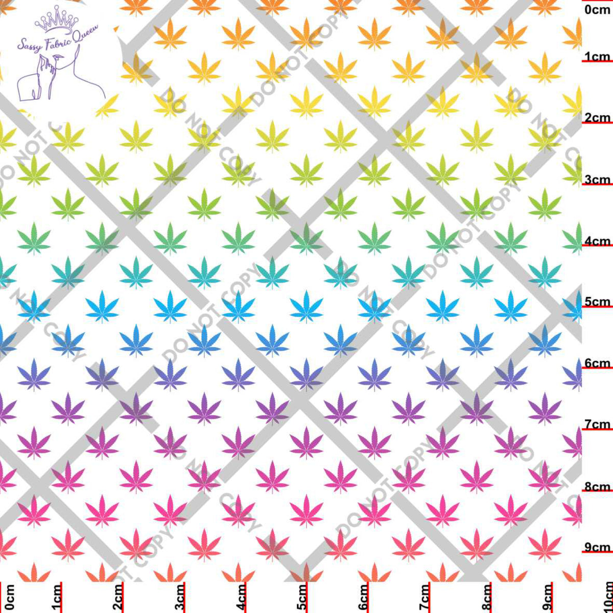 Canna Rainbow Small LGT