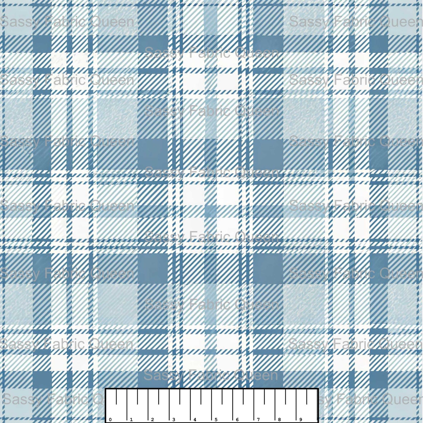 Coquette Blue Toile 004